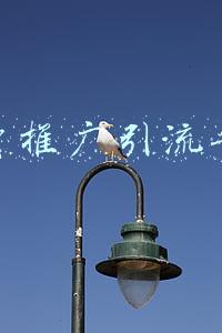 免费推广引流平台