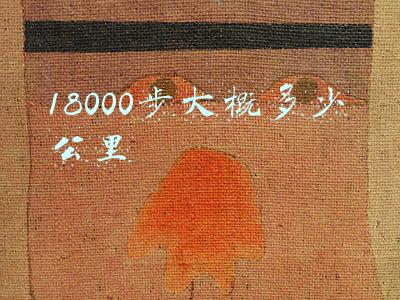 18000步大概多少公里走多久(盐湖：交警张强的国庆节)