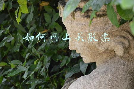 如何网上买股票
