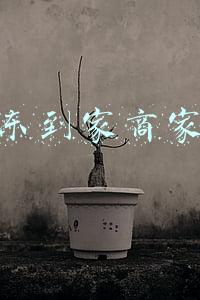 京东到家商家版