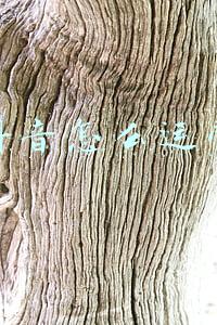 抖音怎么运营