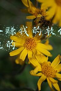 做任务赚钱的软件有哪些正规的