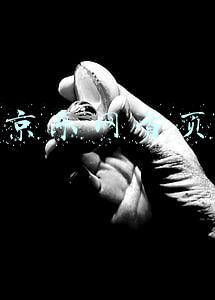 京东网首页