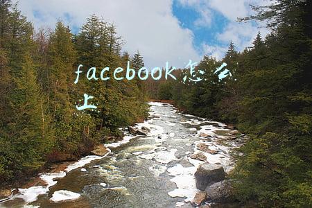 facebook怎么上