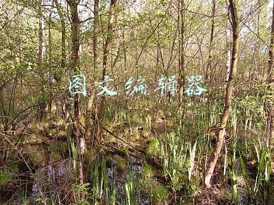 图文编辑器