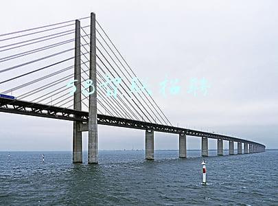 58智联招聘app下载(（新华调查）招聘信息“注水”、账号管理混乱、简历信息失控……部分网络招聘平台乱象调查)
