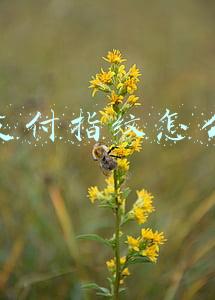 微信支付指纹怎么设置