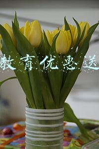 苹果教育优惠送耳机
