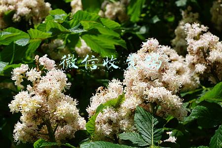 微信收费吗