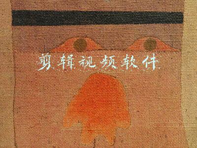 剪辑视频软件
