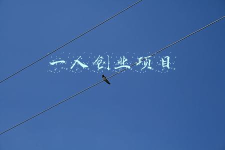 一人创业项目