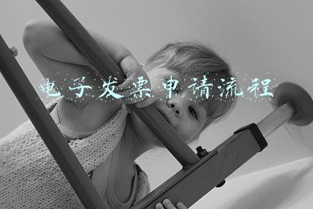 网上电子发票申请流程(申请电子发票的流程图)