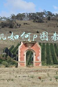 手机如何p图教程