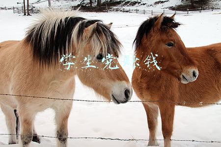 学生党赚钱