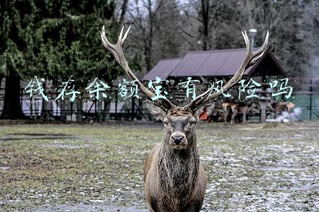 钱存余额宝有风险吗