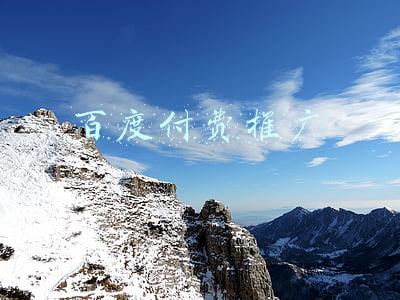 百度付费推广