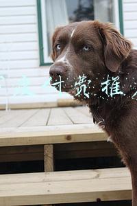 百度付费推广