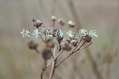 快手直播电脑版