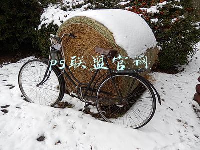 ps联盟官网