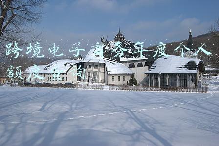 跨境电子商务年度个人额度查询