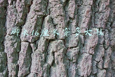 脚长16厘米穿多大鞋