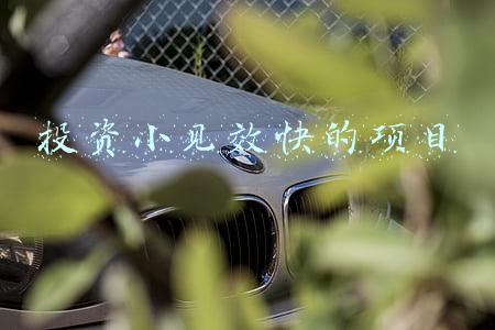 投资小见效快的项目有哪些(现在有什么项目投资少，挣钱多，发展前景好？)