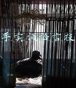 新手卖酒语言技巧