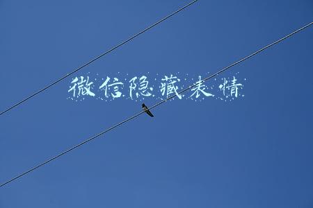 微信隐藏表情