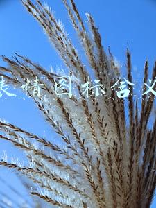 微信表情图标含义大全