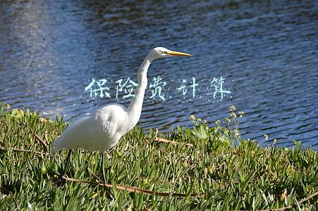 保险费计算
