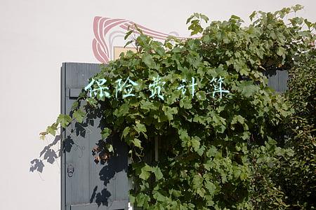 保险费计算