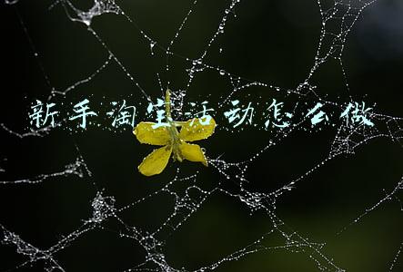 新手淘宝活动怎么做