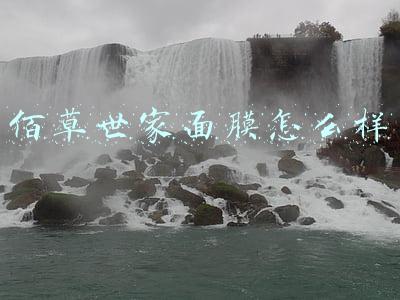 佰草世家面膜怎么样