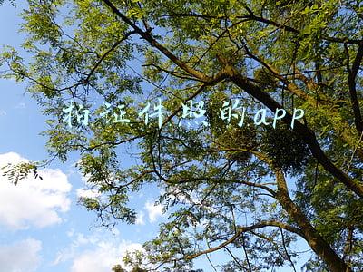 免费证件照app哪个好(免费证件照APP来啦)