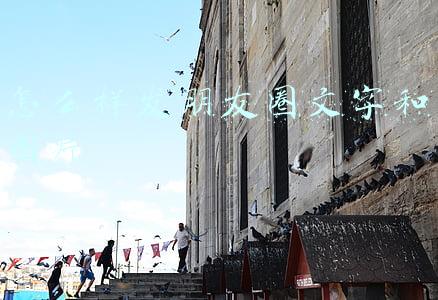 怎么样发朋友圈文字和图片