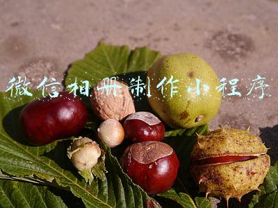 微信相册制作小程序
