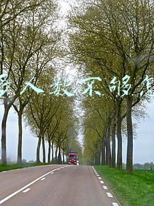 拼多多人数不够怎么办