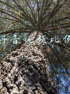 抖音视频比例9:16(抖音里发作品遇到了问题了)