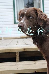 小红书种草是什么意思