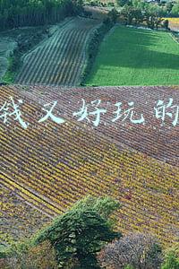 不充钱又好玩的手游