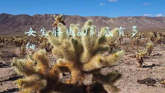 女生腰围60到底有多细