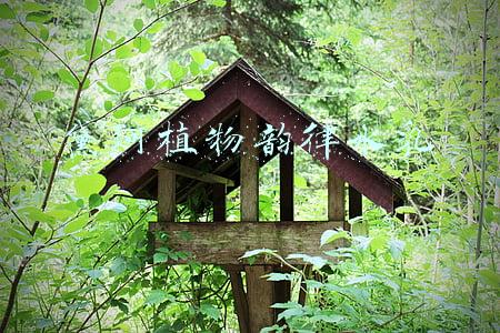 黛珂植物韵律水乳