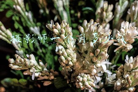 摄影师一个月多少钱
