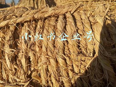 小红书企业号