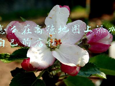 怎么在高德地图上添加自己的店铺