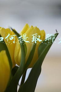 微信如何提取聊天记录