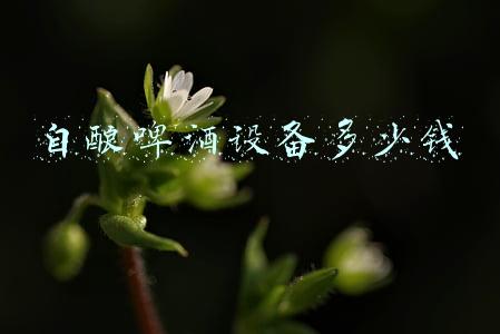 自酿啤酒设备多少钱