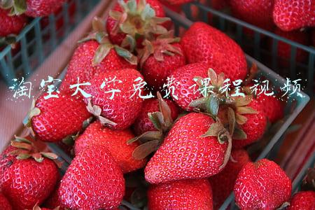 淘宝大学免费课程视频