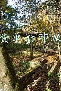 发货单打印软件