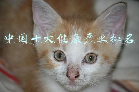 中国十大健康产业排名